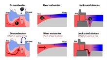 The figure displays how the sea level influences saline intrusion (in the top) and how sea level rise affects saline intrusion (bottom illustrations), for the groundwater system (left) and surface water sytem (middle and right).